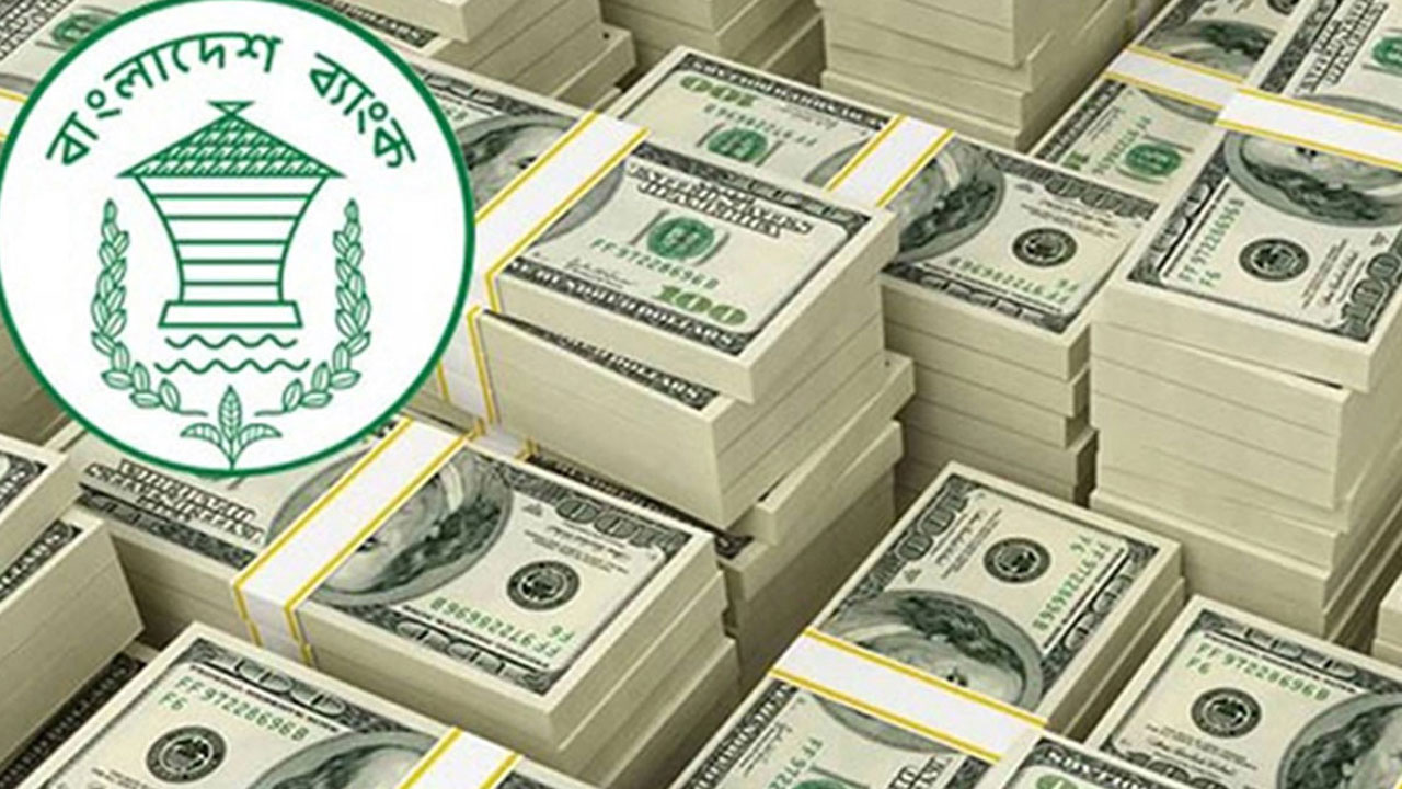 রেমিট্যান্স হিসেবে দেশে এসেছে ৩.১৭ বিলিয়ন ডলার অর্থ