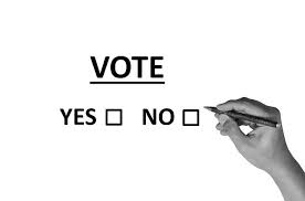 নতুন সংবিধানের জন্য গণভোটের ডাক!