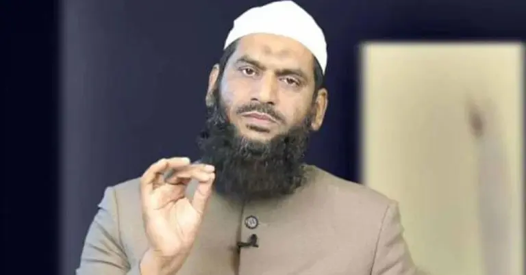 বিএনপিকে ‘সুবিধাবাদী’ দল বললেন মামুনুল হক